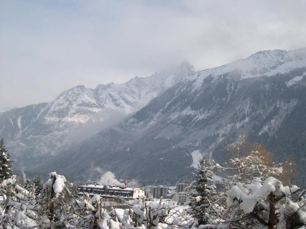 Studio Les Drus / Studio Du Brevent Chamonix Cameră foto