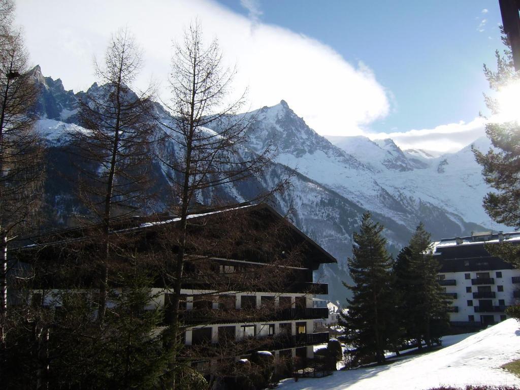 Studio Les Drus / Studio Du Brevent Chamonix Cameră foto